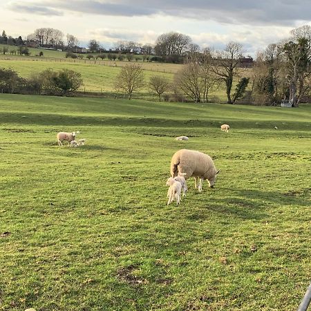 Weatherhead Farm Shepherds Hut Villa Buckingham Dış mekan fotoğraf