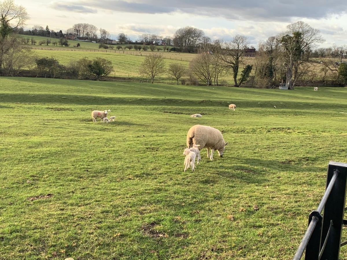 Weatherhead Farm Shepherds Hut Villa Buckingham Dış mekan fotoğraf