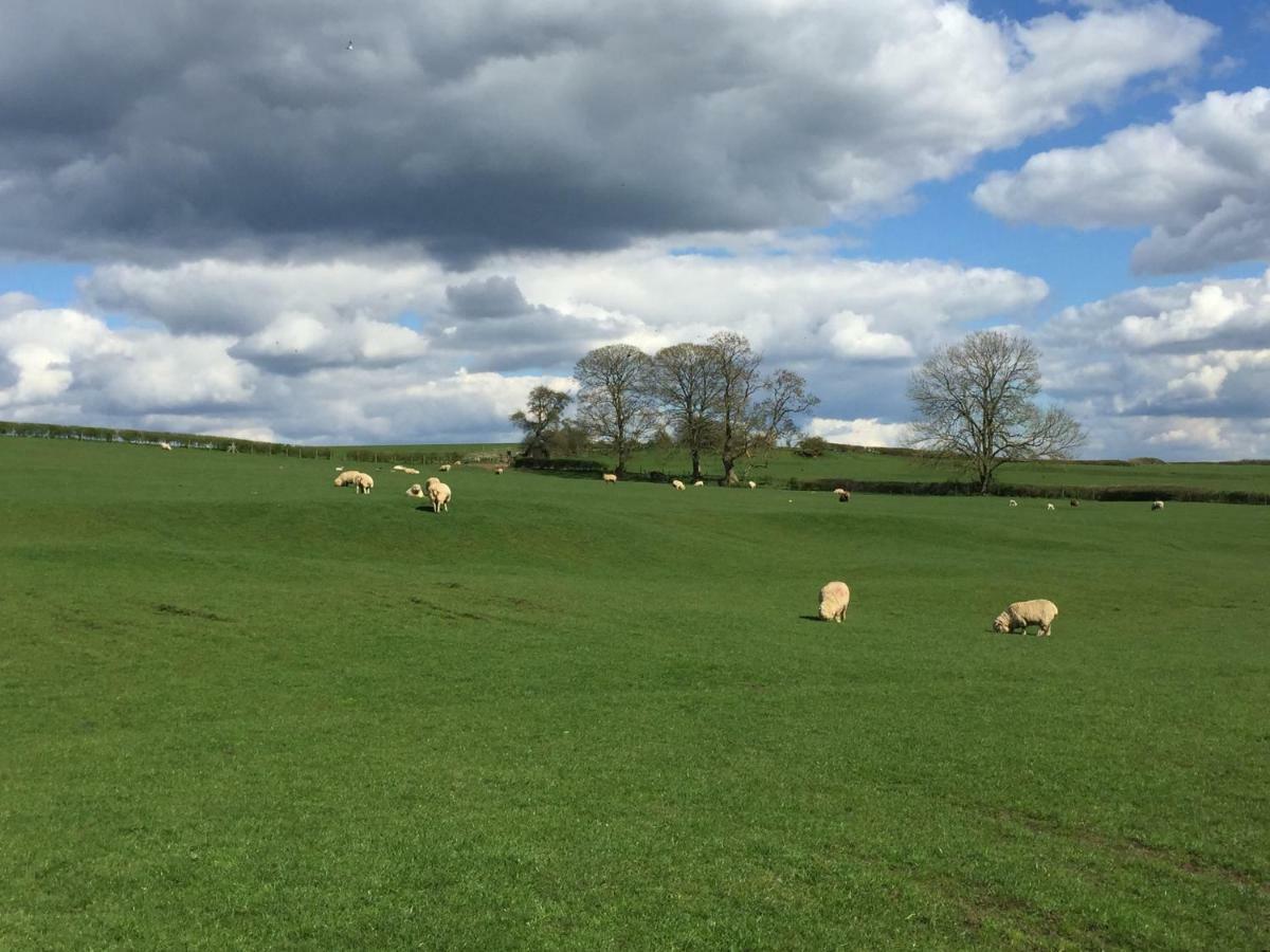 Weatherhead Farm Shepherds Hut Villa Buckingham Dış mekan fotoğraf
